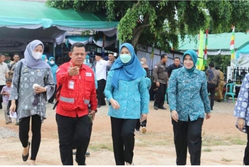 recent-project-img-1